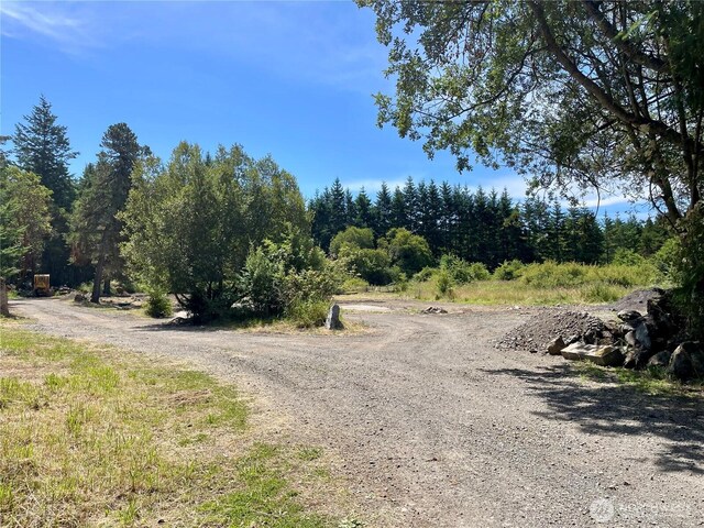 301 Salmonberry Ln, Friday Harbor, WA 98250 - view of dirt / gravel road