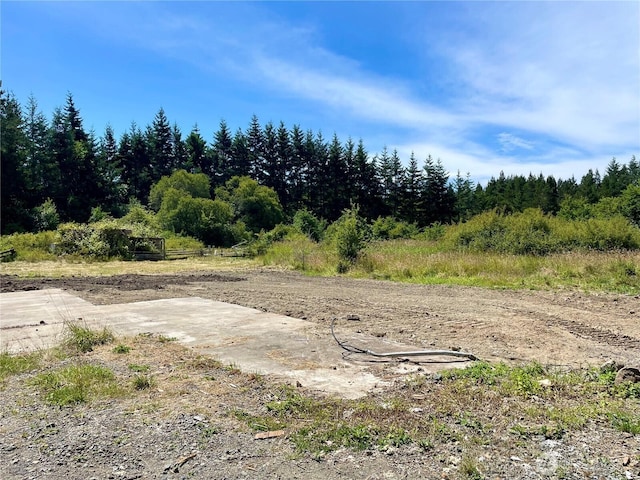 301 Salmonberry Ln, Friday Harbor, WA 98250 - view of yard