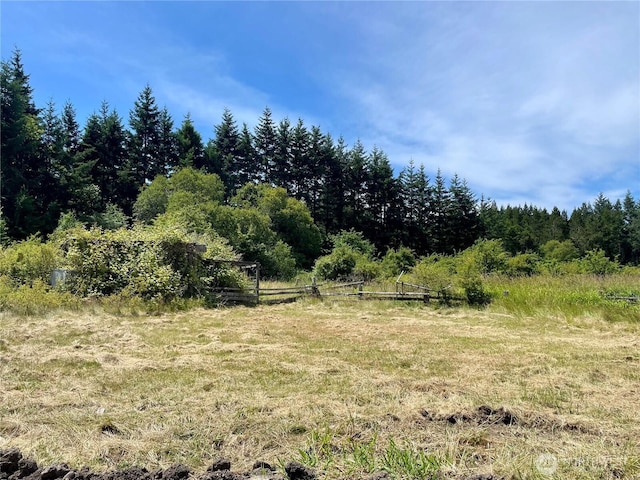 301 Salmonberry Ln, Friday Harbor, WA 98250 - view of woods