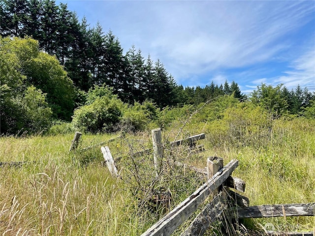 301 Salmonberry Ln, Friday Harbor, WA 98250 - view of yard with a view of trees