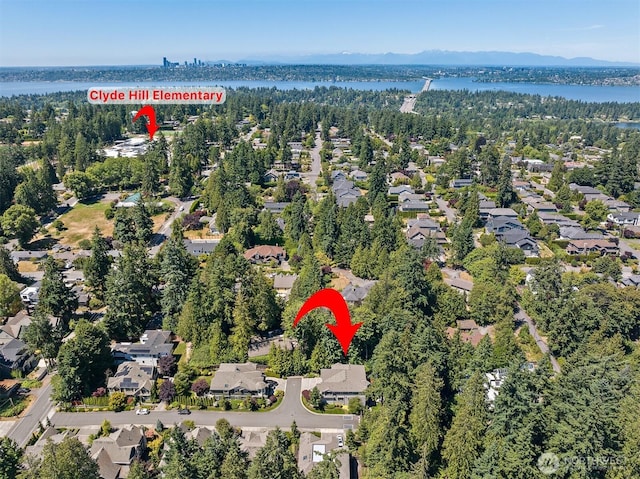 2507 101st Ln NE, Bellevue, WA 98004 - aerial view of property's location featuring a water and mountain view and nearby suburban area