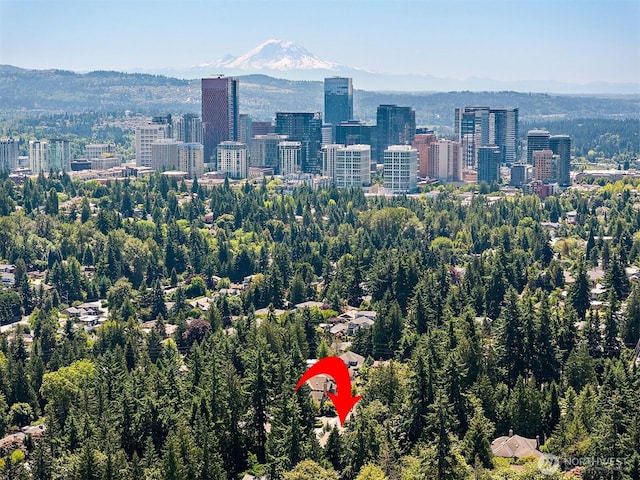 2507 101st Ln NE, Bellevue, WA 98004 - view of city with a mountainous background