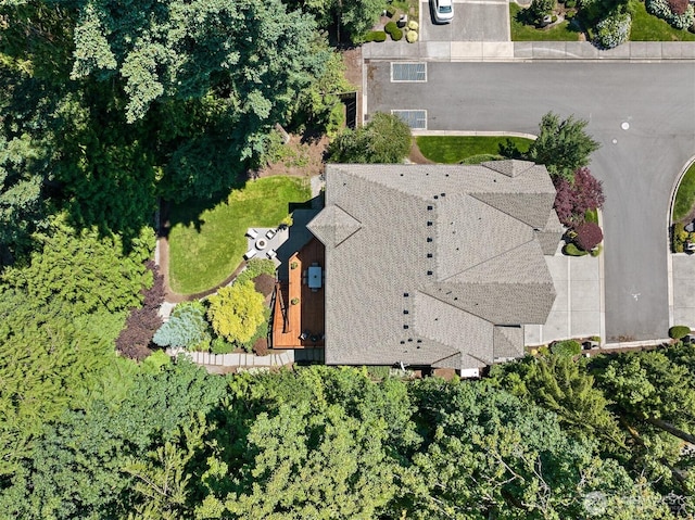 2507 101st Ln NE, Bellevue, WA 98004 - aerial view of property and surrounding area