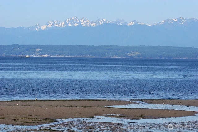 5845 Alpha Ln, Freeland, WA 98249 - water view with mountains