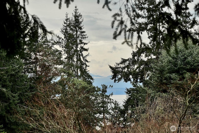 5845 Alpha Ln, Freeland, WA 98249 - view of local wilderness with mountains