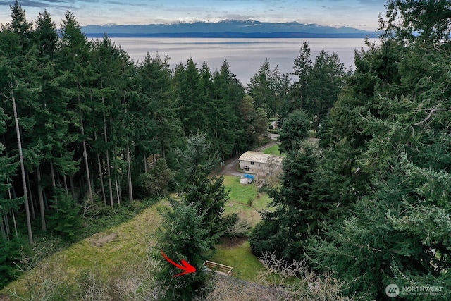 5845 Alpha Ln, Freeland, WA 98249 - drone / aerial view of a large body of water