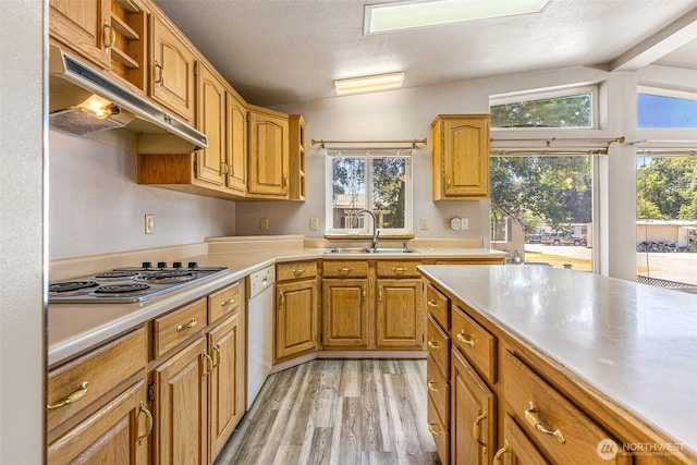 2021 Mahan Ave Unit H4, Richland, WA 99354 - photo 5