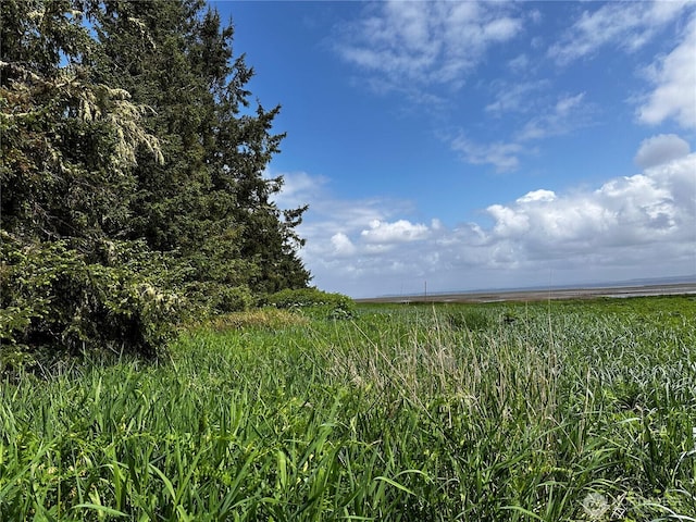 31104 Sandridge Rd, Oysterville, WA 98640 - photo 2