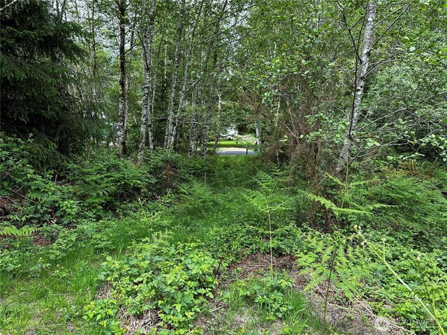 31104 Sandridge Rd, Oysterville, WA 98640 - photo 3
