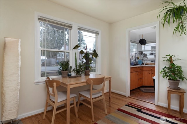 11008 Dayton Ave N, Seattle, WA 98133 - photo 13