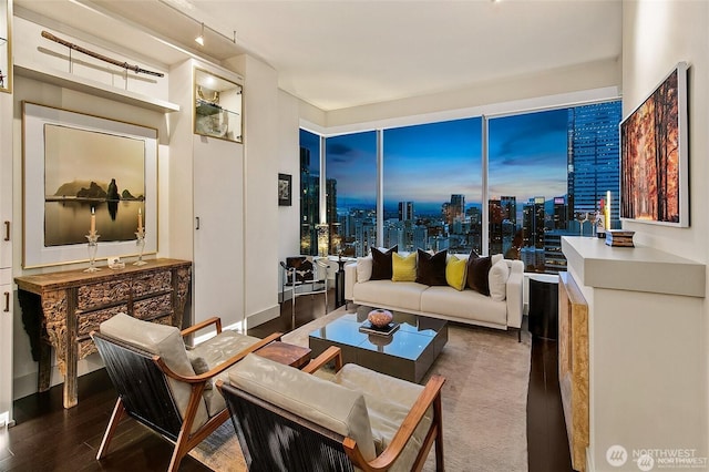 737 Olive Way Unit 3606, Seattle, WA 98101 - living room featuring wood finished floors and a view of skyline