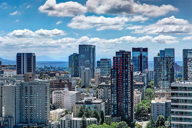 737 Olive Way Unit 3606, Seattle, WA 98101 - skyline view featuring mountains