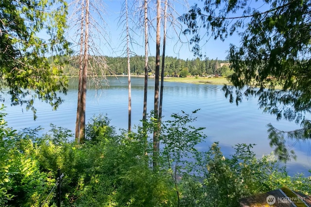 1341 E Beaver Ave, Shelton, WA 98584 - photo 23