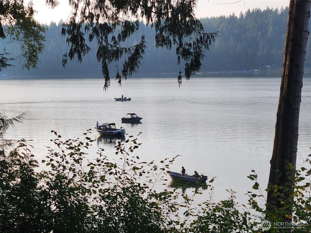 1341 E Beaver Ave, Shelton, WA 98584 - photo 26