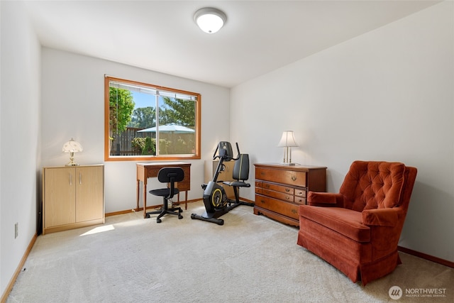 22823 14th Pl W, Bothell, WA 98021 - photo 22