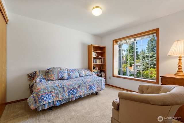 22823 14th Pl W, Bothell, WA 98021 - photo 24