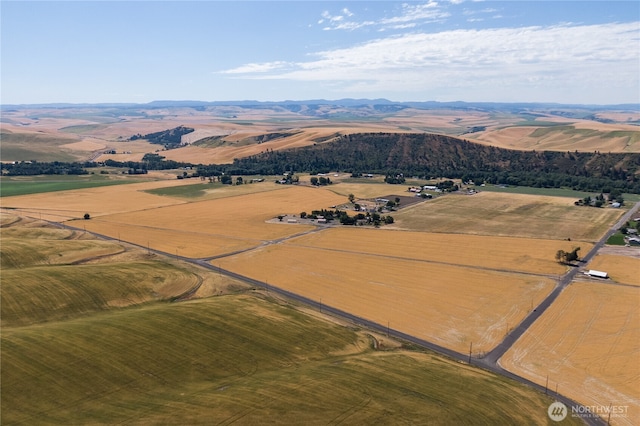 0 Dewitt Rd, Waitsburg, WA 99361 - photo 1