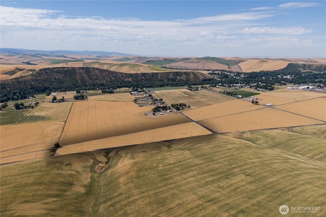 0 Dewitt Rd, Waitsburg, WA 99361 - photo 2