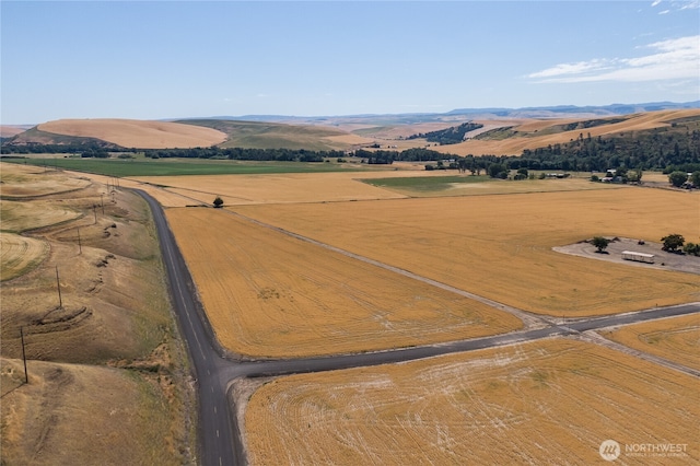 0 Dewitt Rd, Waitsburg, WA 99361 - photo 3