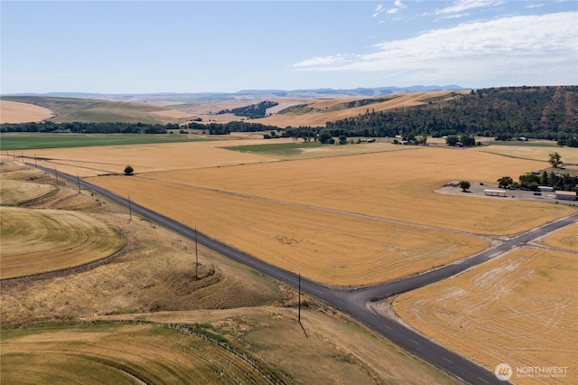 0 Dewitt Rd, Waitsburg, WA 99361 - photo 4