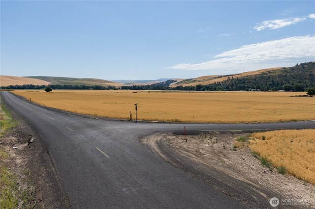 0 Dewitt Rd, Waitsburg, WA 99361 - photo 6