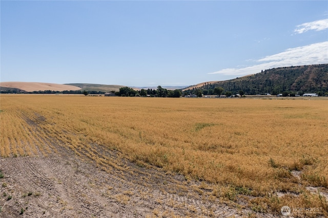 0 Dewitt Rd, Waitsburg, WA 99361 - photo 7