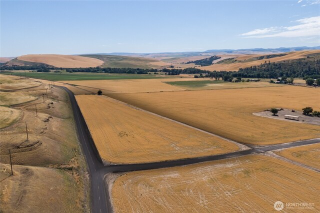 0 Dewitt Rd, Waitsburg, WA 99361 - photo 9