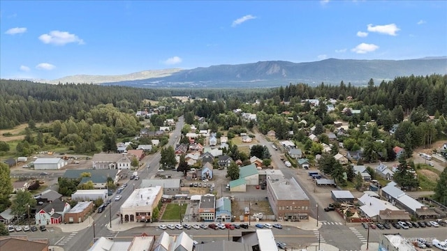 206 W Montana Ave, Roslyn, WA 98941 - photo 33