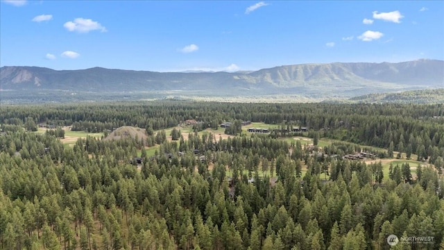 206 W Montana Ave, Roslyn, WA 98941 - photo 35