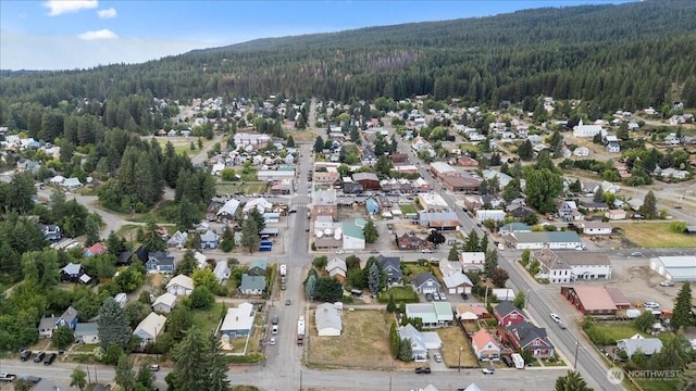 206 W Montana Ave, Roslyn, WA 98941 - photo 34