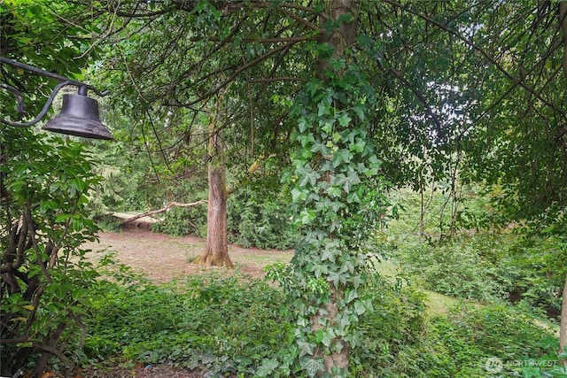 2726 34th Ave S, Seattle, WA 98144 - view of yard with a wooded view