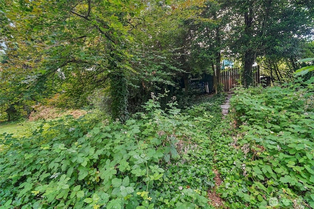 2726 34th Ave S, Seattle, WA 98144 - view of nature