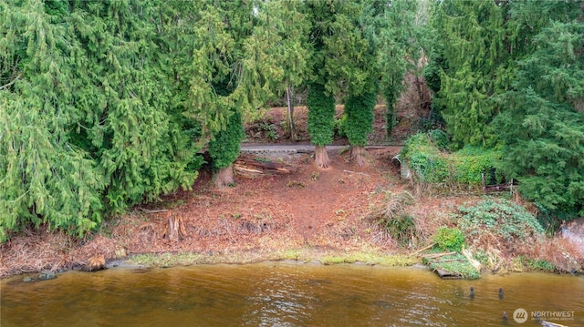 23415 Coots Cove Ln, Mount Vernon, WA 98274 - photo 3