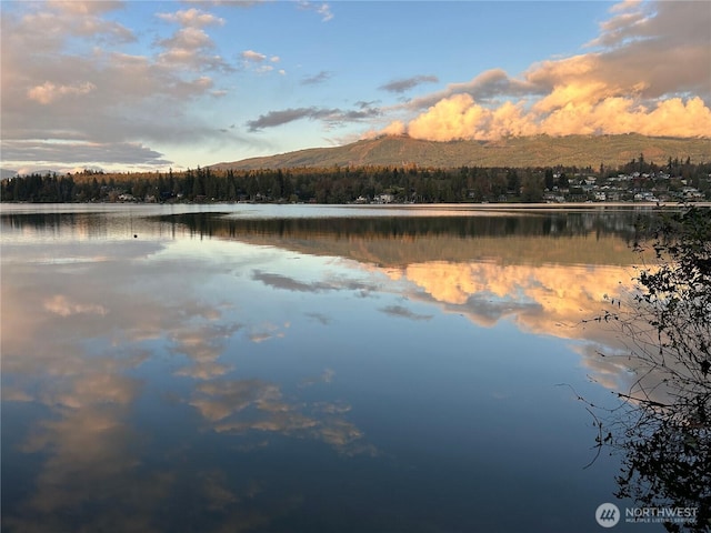 23415 Coots Cove Ln, Mount Vernon, WA 98274 - photo 8