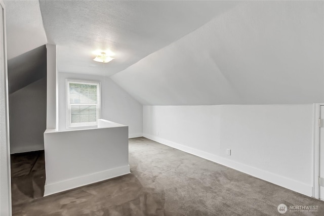 4015 N 13th St, Tacoma, WA 98406 - additional living space with vaulted ceiling, carpet floors, and a textured ceiling