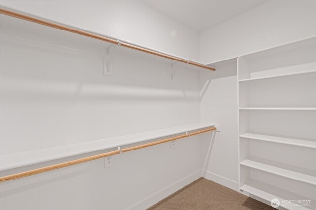 382 W Fir Loop, Washougal, WA 98671 - spacious closet with light colored carpet
