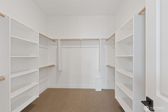 382 W Fir Loop, Washougal, WA 98671 - spacious closet featuring carpet