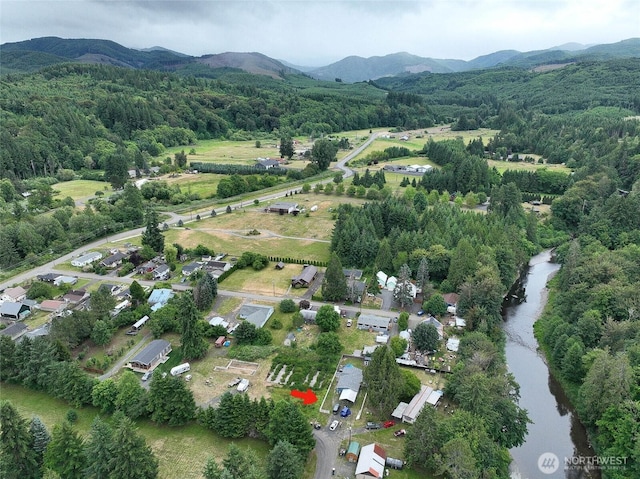 427 Pleasant Ave, Pe Ell, WA 98572 - photo 23