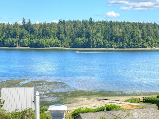 81 E Panorama Way, Grapeview, WA 98546 - water view with a forest