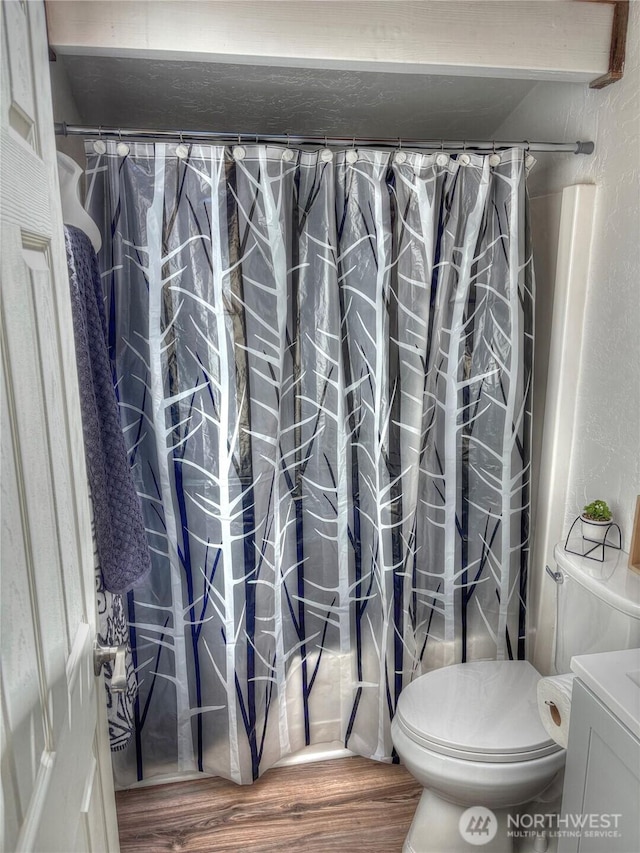 81 E Panorama Way, Grapeview, WA 98546 - full bathroom featuring wood finished floors, vanity, and curtained shower