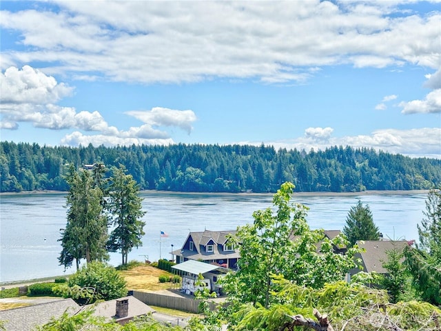81 E Panorama Way, Grapeview, WA 98546 - water view with a forest