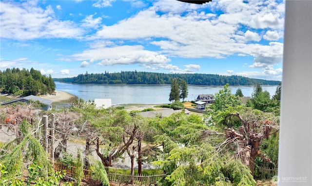 81 E Panorama Way, Grapeview, WA 98546 - water view with a forest