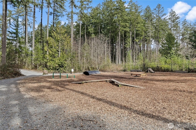18761 131st Street Ct E, Bonney Lake, WA 98391 - photo 36