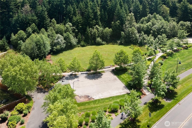 18761 131st Street Ct E, Bonney Lake, WA 98391 - photo 39