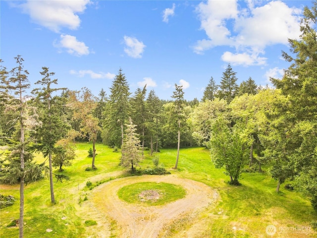 7418 Grayhawk Ln NE, Olympia, WA 98516 - photo 9