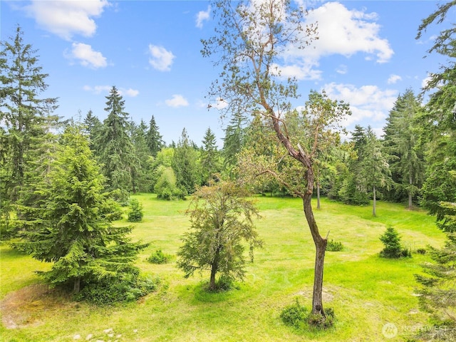 7418 Grayhawk Ln NE, Olympia, WA 98516 - photo 12