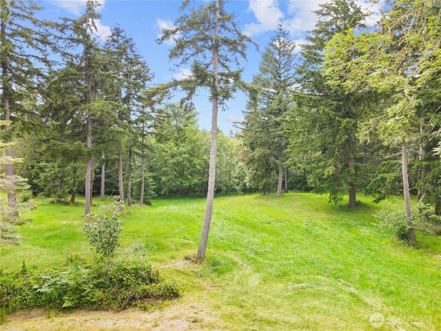 7418 Grayhawk Ln NE, Olympia, WA 98516 - photo 13