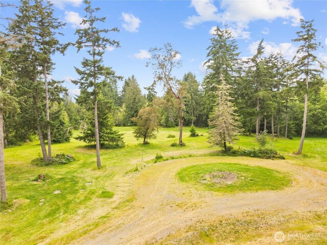 7418 Grayhawk Ln NE, Olympia, WA 98516 - photo 10
