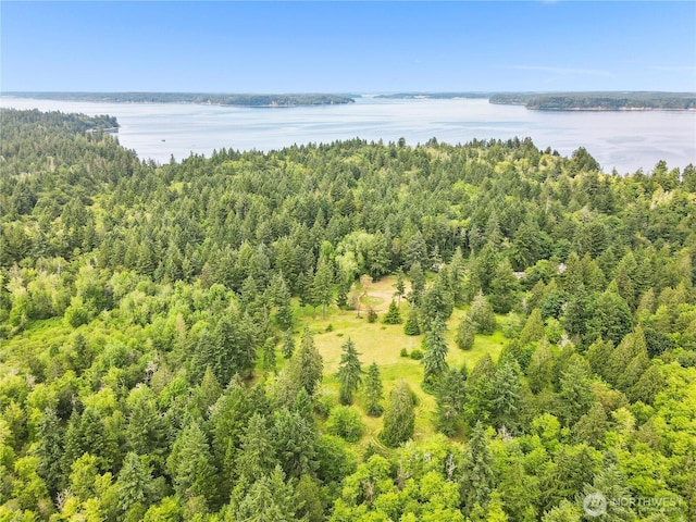 7418 Grayhawk Ln NE, Olympia, WA 98516 - photo 24