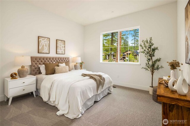 1950 Wanawish Loop, Cle Elum, WA 98922 - bedroom with carpet floors and baseboards